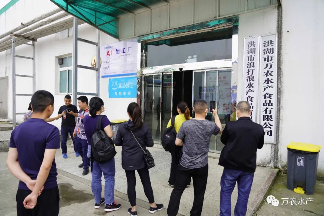 良之隆團(tuán)隊攜客戶來訪萬農(nóng)水產(chǎn)基地深入考察交流